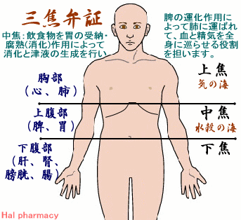 三焦の説明図