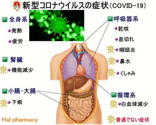 はいはい とう せい どく 清肺排毒湯（せいはいはいどくとう）新型コロナウイルス感染症治療の漢方