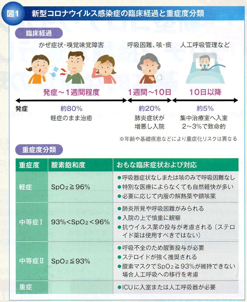 新型コロナウイルス感染症の臨床経過&重症度分類