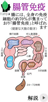 腸管免疫