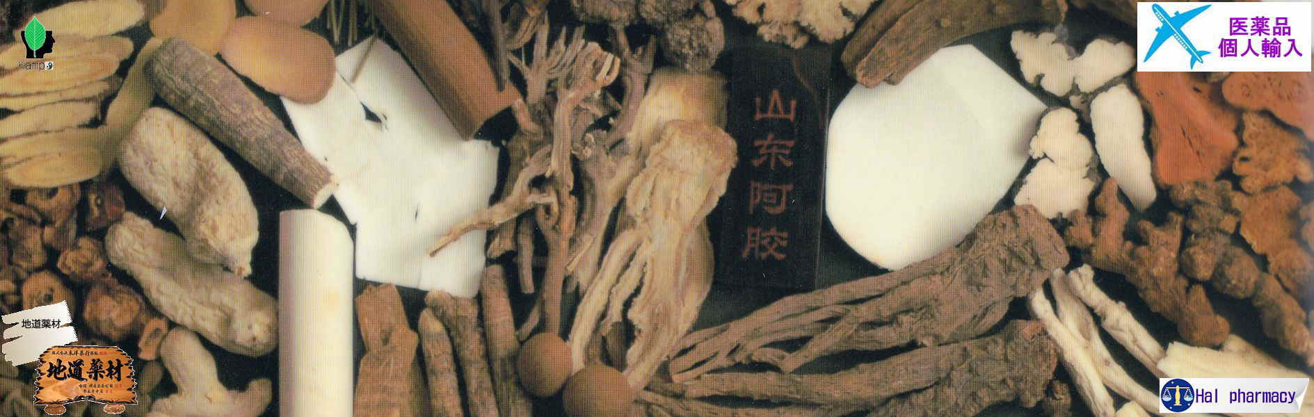 東洋漢方薬（医療用）