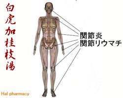 白虎加桂枝湯