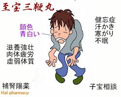 至宝三鞭丸